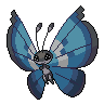 Dark Vivillon (Marine)